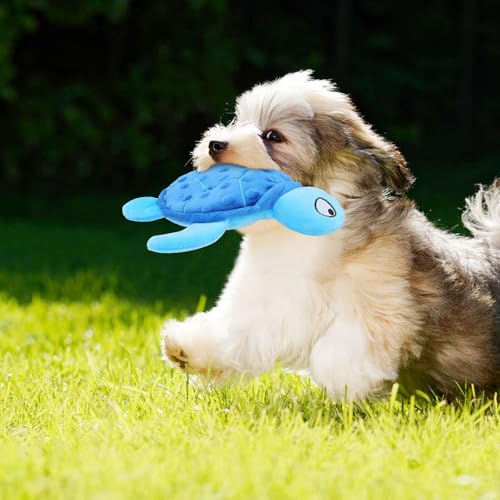 TONYFY Quietschendes Hundespielzeug, Meeresschildkröte Plüsch Hundespielzeug, Interaktives Spielzeug für Welpen zum Zahnen (Blau)