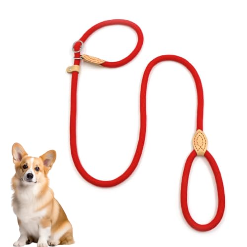 Guinzaglio a Strozzo per Addestramento Cani, 150 cm Guinzaglio Retriever per Cani, Guinzaglio Semistrozzo Cane di Taglia Piccola, Media, Grande (13mm, rosso)