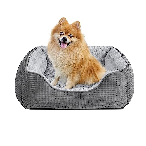 JOEJOY Cuccia Cane Interno, Cuccia per Cani di Piccola Taglia, Bordi Rialzati, Antiscivolo Cuccia Cane, Letto per Cani Lavabile, Cuscino per Cani, Grigio, S 51×48×15cm