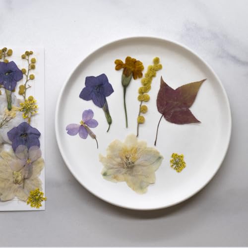 Flores Secas Prensadas para Manualidades 40 Piezas miniatura 3