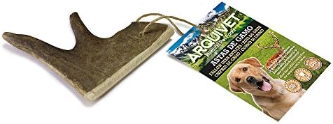 ARQUIVET Asta de gamo - S (<50 g) - Mordedor ecológico para Perros - Snacks Naturales - Cuernos de cérvidos - Salud Dental Canina - Chuches, premios, recompensas dentales