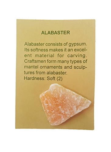 T. Samuel Crystal Hollow Mineral Collection - 15 Choice Specimens #TOP3