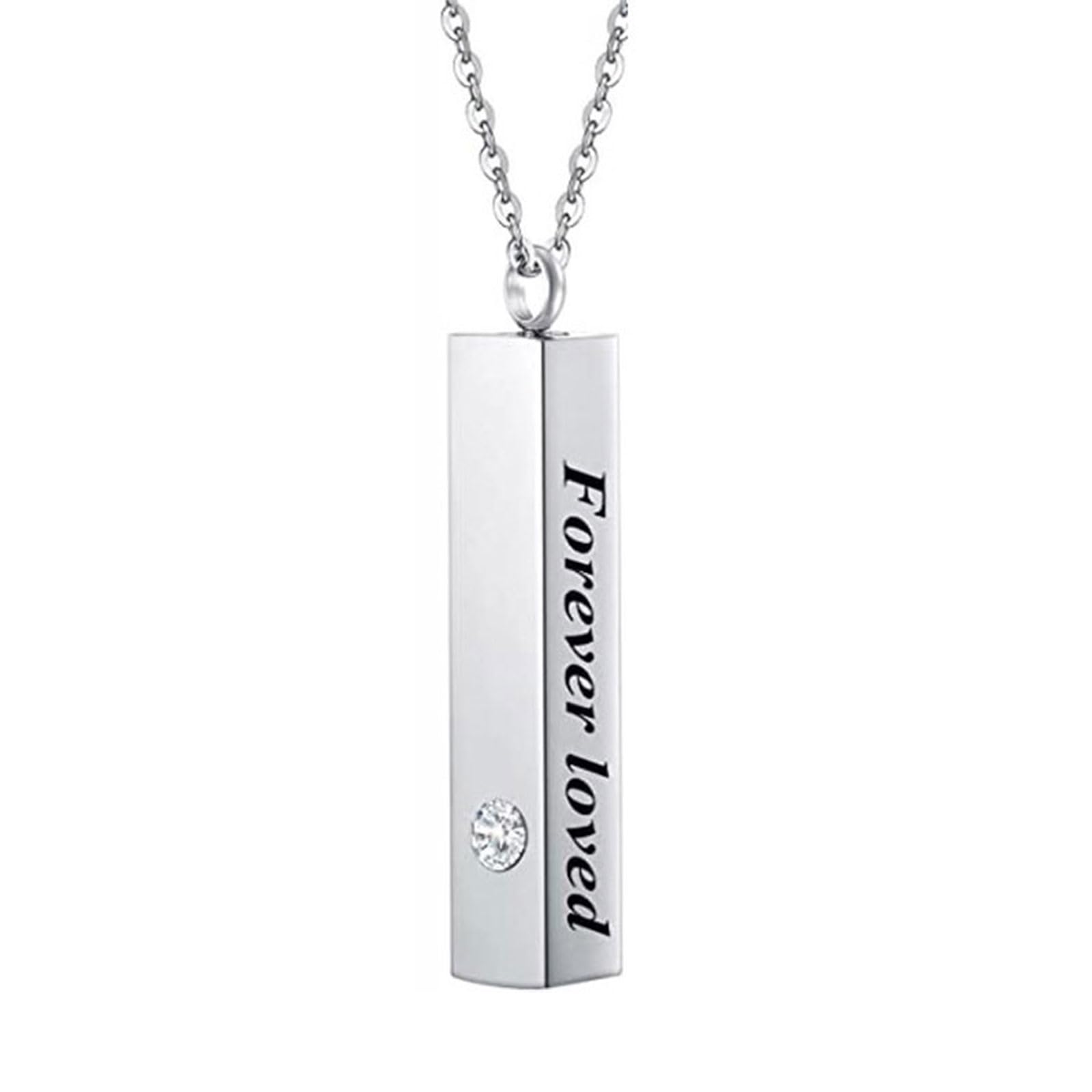 NEWFT Pet Ashes Jewelry Locket Necklace for Animal Pet Mom Simple Ashes Vessel Ashes Necklace for Pet Urn