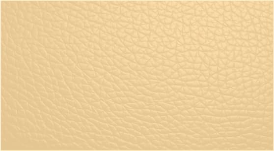 Leather Furniture Restorer Repair Paint in Colours, for sofa, car seats, shoes, hand bag restoring colour (Barley, 250ml Bottle) — image 1