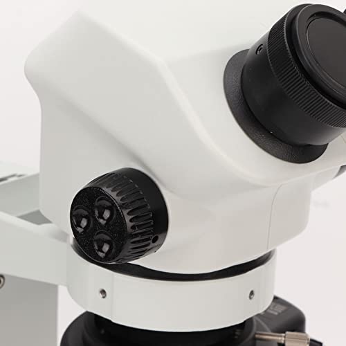 100-240 V Microscópio binocular composto estágio mecânico foco preciso,Ampliação de 0,7 a 5 vezes da