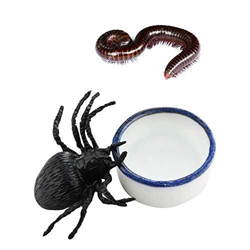 6 Pcs Spider Micro Water Bowl Mini Ceramic Dish For Spider Tarantula Millipede Tiny Reptile (Small: 0.86" D, 0.43" H) #TOP3