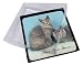 Produktbild Advanta - Coaster Set 4X Britisch Kurzhaar Katzen 'Love You Mum' Bild Setzer gesetzt Weihnachtsgeschen