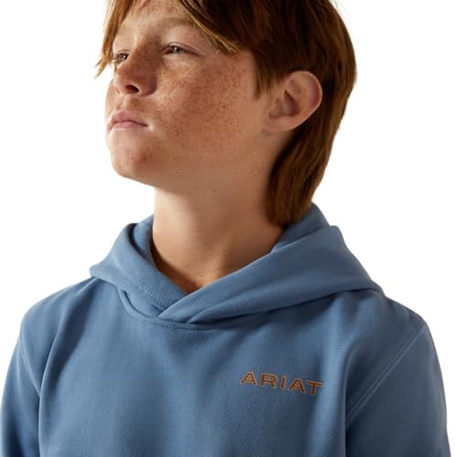 Ariat Boy's Coronet Sun Valley Circle Hoodie4