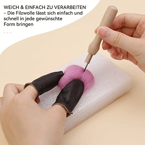 Namner 80 g Filzwolle Trockenfilzen von 8 Farbe, Nadel Filz Zubehör, Wolle Roving Starter Kit für Starter DIY Handwerk, Sommer
