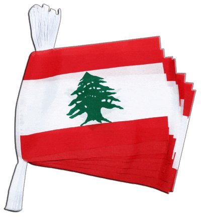 Drapeau Liban en guirlande Digni de 5,9 m pour réussir vos soirées à thème et fêtes culturelles