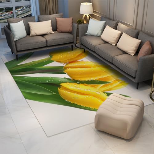 Tapis chambre coucher doux poils courts et antidérapant 160x230 - 3