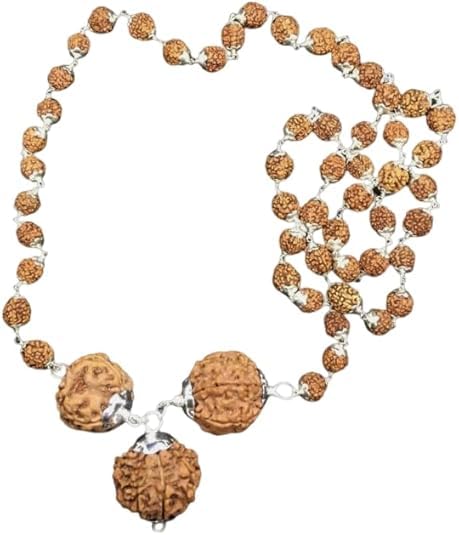 Pendentif Rudraksha 4,6,8 Mukhi Népal : restez serein au tribunal et au bureau