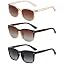 B5 Transparent Brown+brown/Brown+black/Grey Gradient(3 Pack)