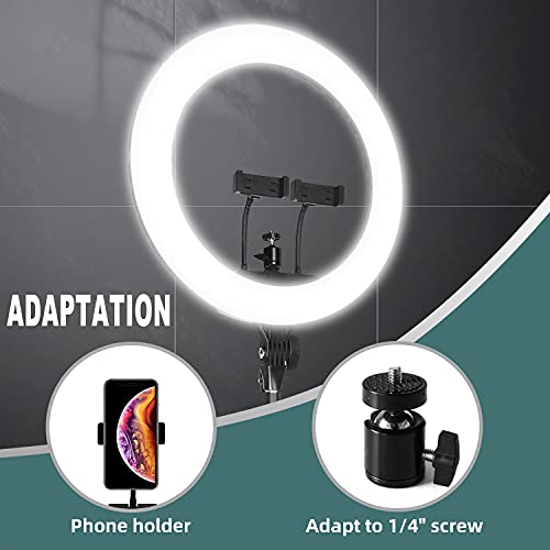 RAUBAY 45,7 cm LED-Ringlicht mit Schreibtischhalterung und Telefonhalter, Selfie Kreis Licht mit Ständer, C-Klemme für… – Bild 4