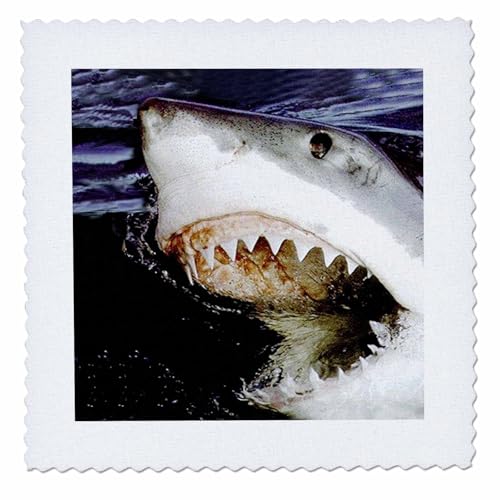 14x14 inch Quilt Square - Great White Sharks