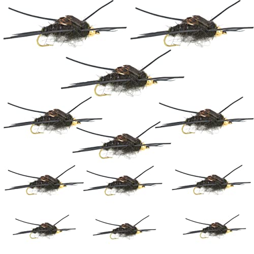 The Fly Fishing Place Bead Head Nymph Fly Assortment - Kaufmann's Black Stone Fly with Rubber Legs - 12 Flies Hook Sizes 4, 6, 8, 10
