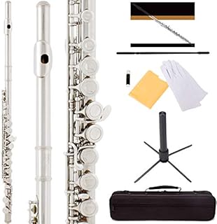 Mendini by Cecilio Premium Grade Silver Closed Hole C Flute with Stand, Book