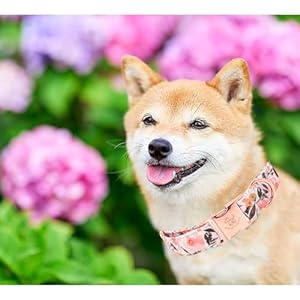 Elegant little tail Dog Collar, Pink Floral Pattern Pet Collar Summer Durable Cute Dog Collars Male or Female Pet Gift Adjustable Dog Collar for Medium Dogs Elegant little tail Dog Collar Pink Floral Pattern Pet Collar Summer Durable Cute Dog Collars Male or Female Pet Gift Adjustable Dog Collar for Medium Dogs