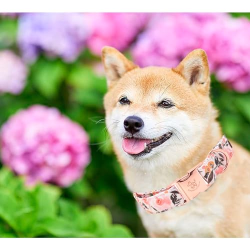 Elegant-little-tail-Dog-Collar-Pink-Floral-Pattern-Pet-Collar-Summer-Durable-Cute-Dog-Collars-Male-or-Female-Pet-Gift-Adjustable-Dog-Collar-for-Medium-Dogs Elegant little tail Dog Collar Pink Floral Pattern Pet Collar Summer Durable Cute Dog Collars Male or Female Pet Gift Adjustable Dog Collar for Medium Dogs