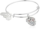 Alex and Ani Color Infusion, Calavera EWB Shiny Silver Bangle Bracelet
