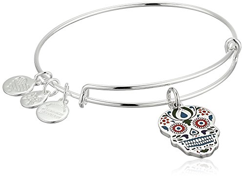 Alex and Ani Color Infusion, Calavera EWB Shiny Silver Bangle Bracelet
