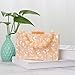 Fecialy Women Acrylic Clutch Purse Beads Evening Handbag Marble Clutch Formal Party Bridal Wedding Crossbody Bag