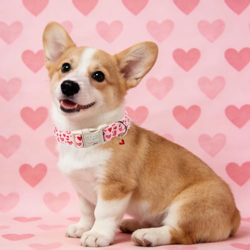 Image of Valentine's Dog Collar, UP URARA PUP Pink Heart in Red Adjustable Pet Collar with Bowknot Charm, Wedding Dog Accessories for Small Medium Large Dogs