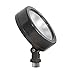 RAB Lighting LES13 Outdoor, Bronze
