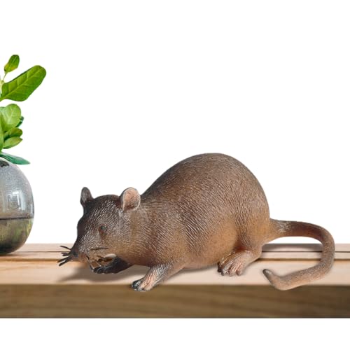 TPRlY~̒u - ͑lY~̑AAȂ̃lY~ | sCȓ̒AmxeBnEXACeAD̂߂̕|W[NANZT[AnEB̊y݁AItBX̃W[NAI菬