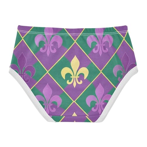 Fleur De Lis Symbols Diamond Toddler Girls Underwear 2t Cotton Little Girl Panties Animal Undies Kids Briefs2