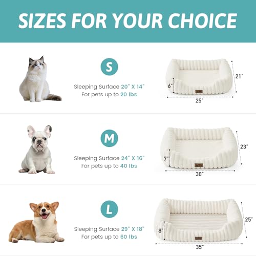 Orthopedic Dog Bed for Small Dogs & Cats - Washable Rectangle Pet Bed with Anti-Slip Bottom, Soft Calming Cat & Puppy Bed for Indoor Pets (25"x21"x6", Cream) - Image 3