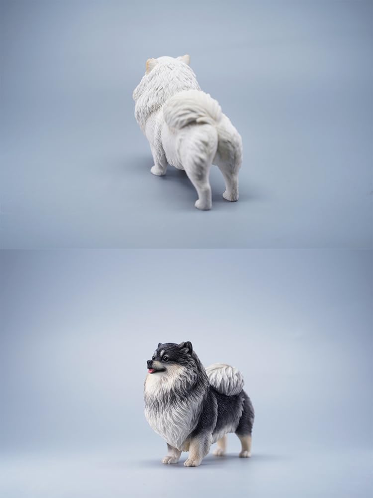 Amazon.com: WLNTDOLA 1:6 Scale Pomeranian Dog Figure Resin Cute