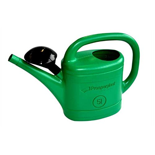 Garden Watering Can Green Wash Watering Cans Rose Storage Nozzle (5L)