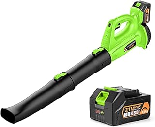Cordless Leaf Blower - BHY 21V Electric Leaf Blower with 4.0Ah Battery, 2 Adjustable Tubes and 6 Adjustable Speeds, Handheld Leaf Blower for Leaves, Snow Debris,Yard, Work Around The House