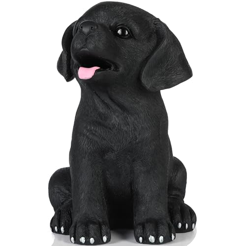 H&W Black Labrador Dog Coin Money Bank, Shatterproof Dog Piggy Bank, Creative Money Bank, Can Store 1000 Coins, Best Bitrthday Gift (WK34-D3)