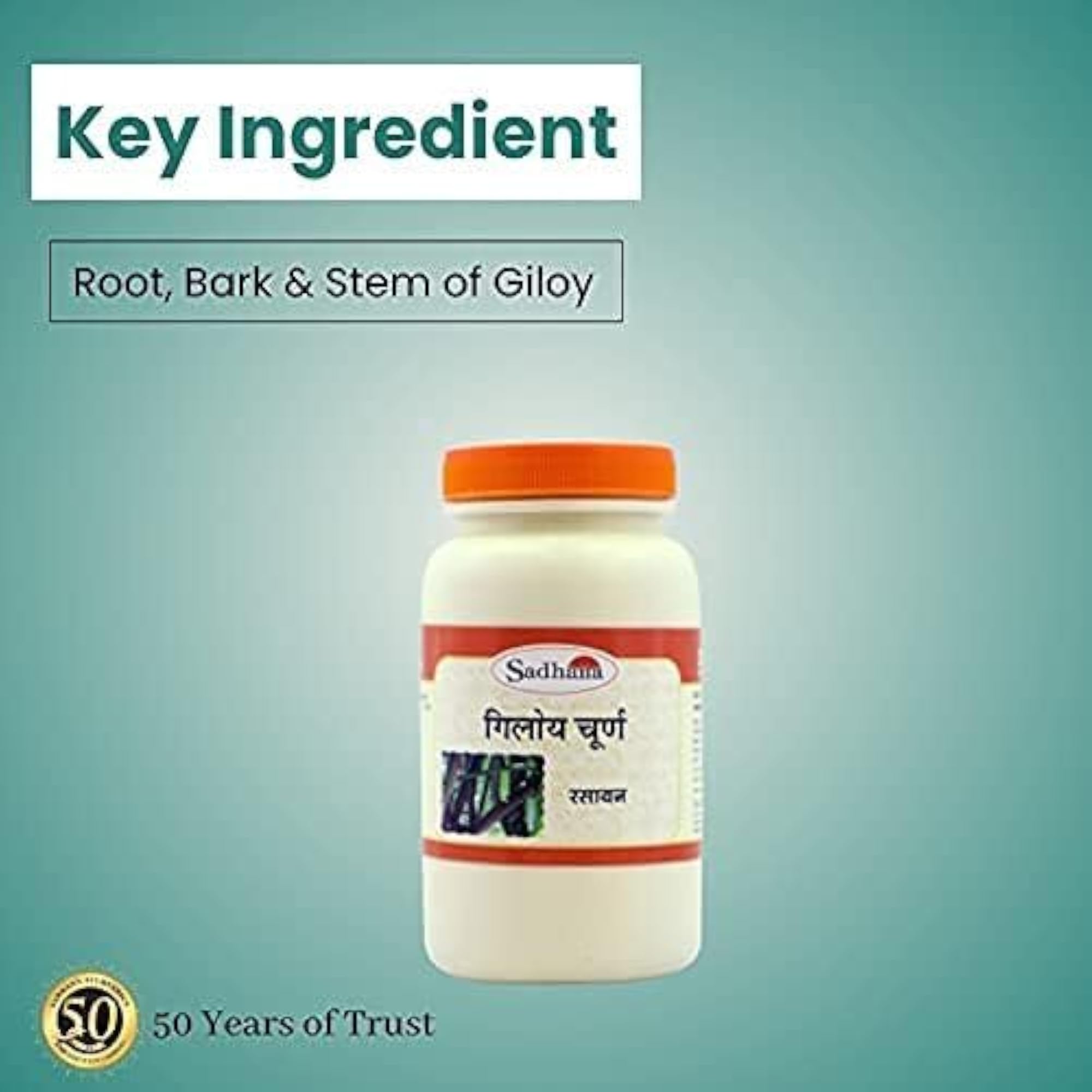 Sadhana Ayurvedics Giloy Powder, 200g, Immunity Support