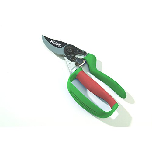 Preisvergleich Produktbild Bosmere N531 Bypass-Gartenschere mit Rollgriff