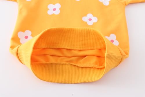 Image of AIWUHE Toddler Cotton Sweatshirt Boys Girls Pullover Long Sleeve Tops 2-6Y
