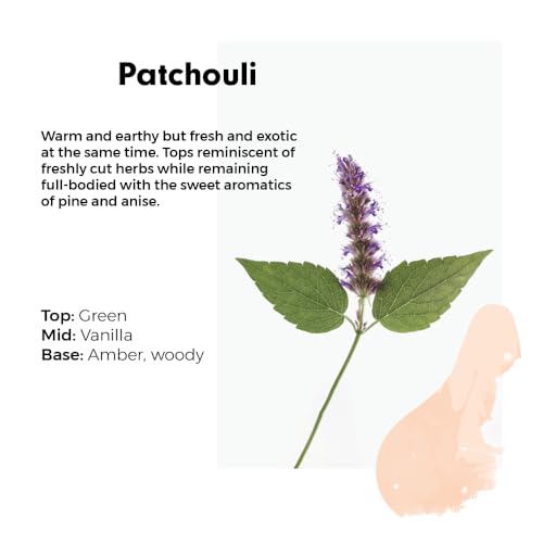 Wilton London Eco Friendly Patchouli Laundry Bundle - 1 x 1 Litre Non Bio Laundry Liquid (30 Washes) and 1 x 1 Litre Fabric Conditioner (42 Washes) - Image 2