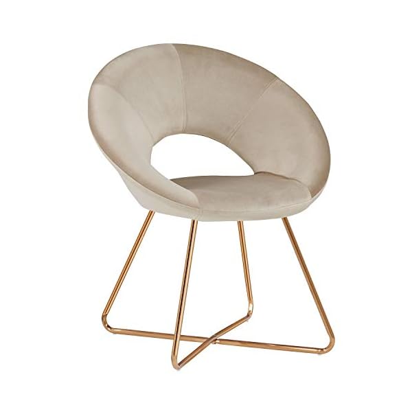 DUHOME Dining Chair Fabric (Velvet) Chair Reception Conference Chair Outstanding Design Metal Legs Colour Selection 439D