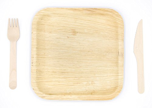 Holiday Party Dinnerware Eco Set Of 300 Eco-Friendly Dinnerware - 100 Disposable 8" Square Palm Leaf Plates, 100 Wood Forks, 100 Wood Knives #TOP4