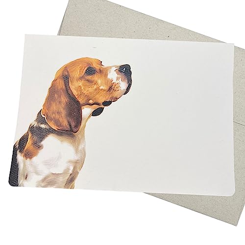 Beagle O[eBOJ[h @ (5×7C` ͋ t) a Ȃ̂Ƃl ₷ LO  (r[O1)