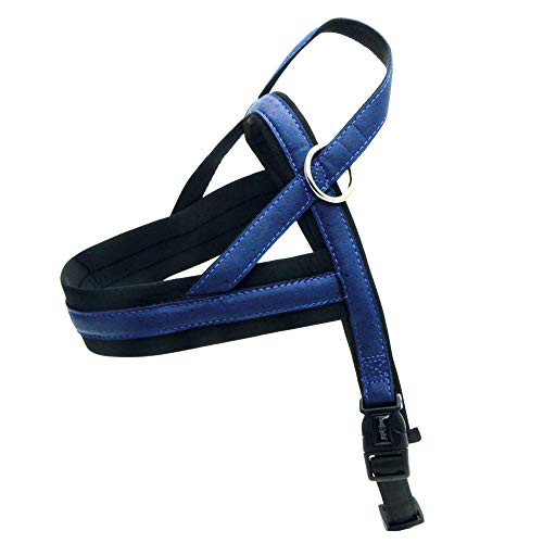 Croci Pettorina in Similpelle Svedese, Blu, 53-66 cm x 40 mm