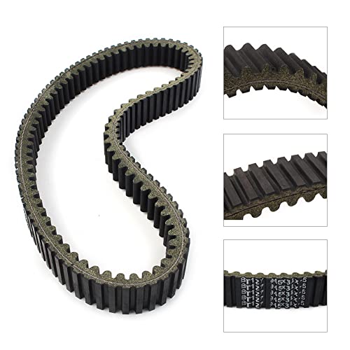 Correa de transmisión extremadamente resistente marca Bacar para gama WILDCAT 1000 GT 4