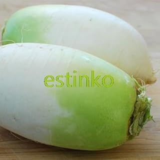 20pcs/lot Korean White Radish Seeds Garden Radish Korean Kimchi Radish Home Garden Bonsai Plant Vegetable Seeds