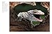 Crocodiles, Alligators & Lizards: From Black Caimans to Komodo Dragons (Mini Encyclopedias)