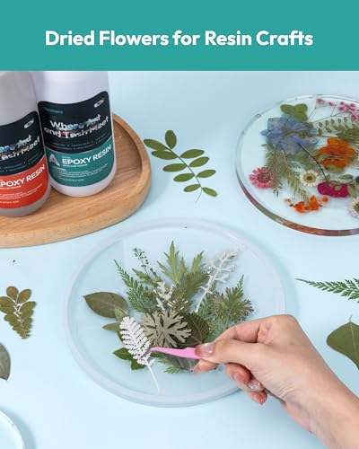 Image of Resiners Dried Pressed Flowers for Resin Molds, Real Natural Dried Flowers Dry Leaves kit for Scrapbook Supplies Card Making Resin Jewelry Making Soap Candle DIY Crafts (Green Leaves100pcs)