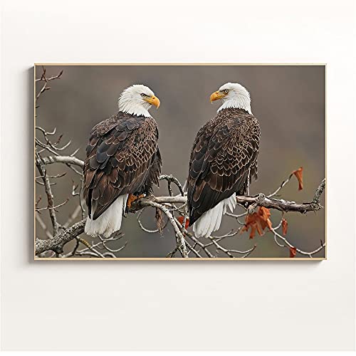Broderie diamond painting complet aigle grand format à offrir en cadeau créatif