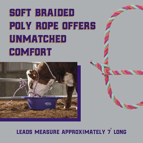 Weaver Livestock Braided Poly Rope Cattle Halter, Adjustable Style Cow Calf Halter, Livestock Handling Equipment for Showing, Hot Pink/Coral/Mint