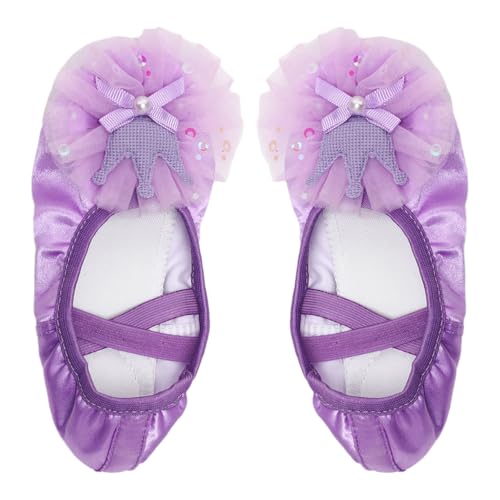 iiniim Ballet Shoes for Girls Soft Sole Ballerina Shoes Gymnastic Shoes Purple 282